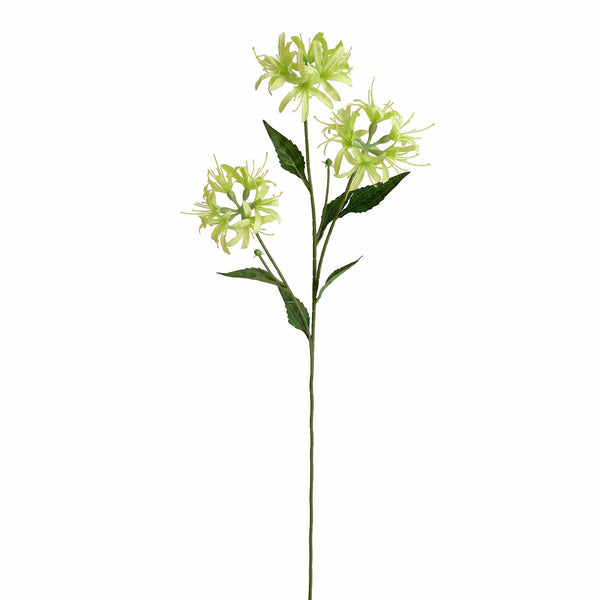 Pack of 6 x 72cm Artificial Lime Green Spider Lily Stems
