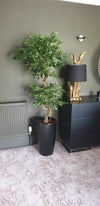 Artificial Japanese Fruticosa Tree Twisted Large Ficus 150cm Leaf Design UK Botanik