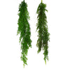 Hanging String of Pearls Fern Plant Light Green 100cm