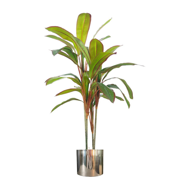 Tropical Artificial Dracaena Palm Plant Realistic Large Silver Planter 100cm Botanik