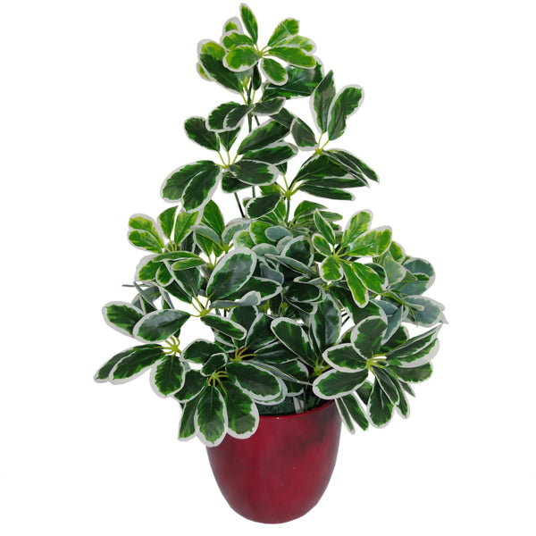 Artificial Bush Arboricola Plant 55cm Small Bush