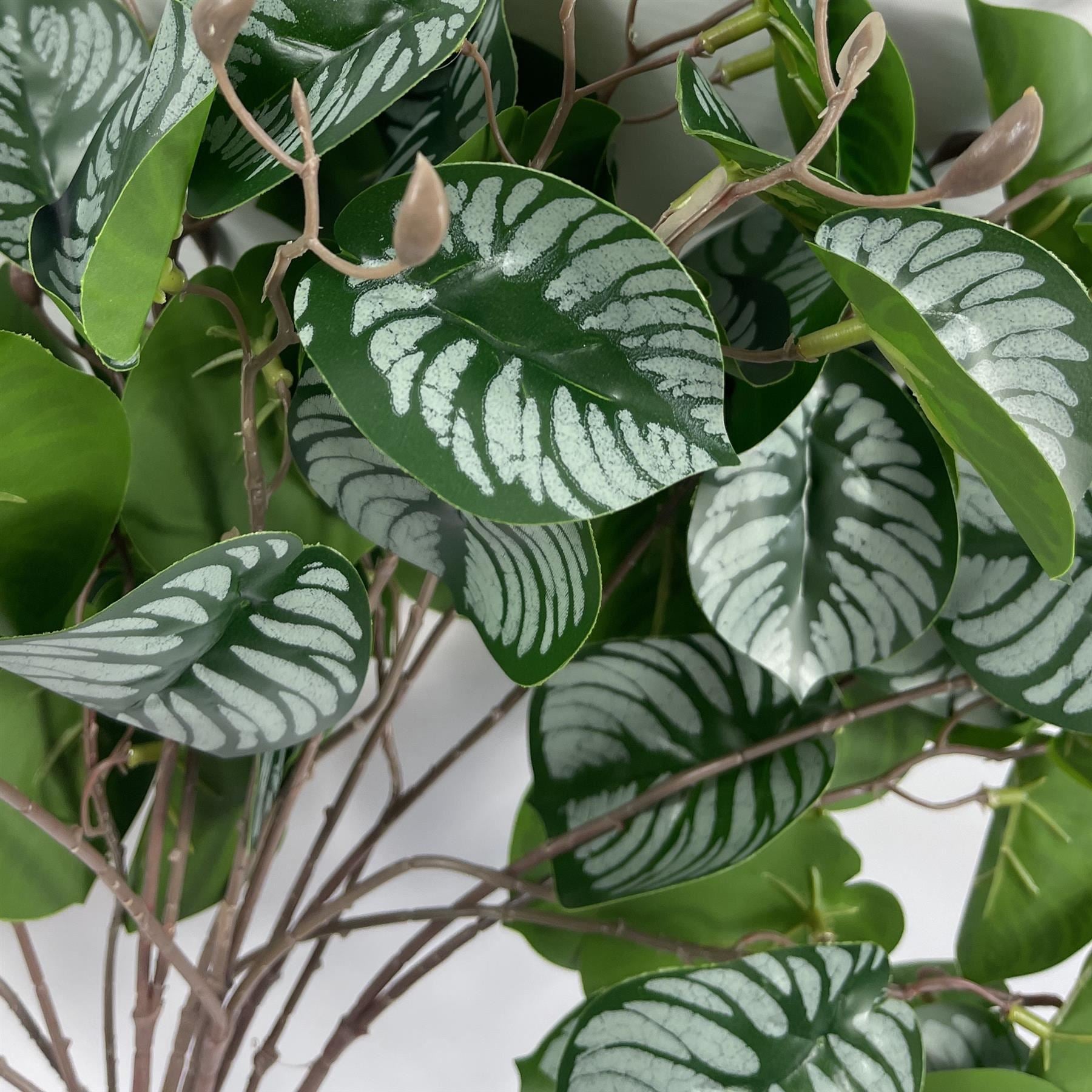Pack of 6 x 70cm Artificial Zebra Foliage - Premium Quality
