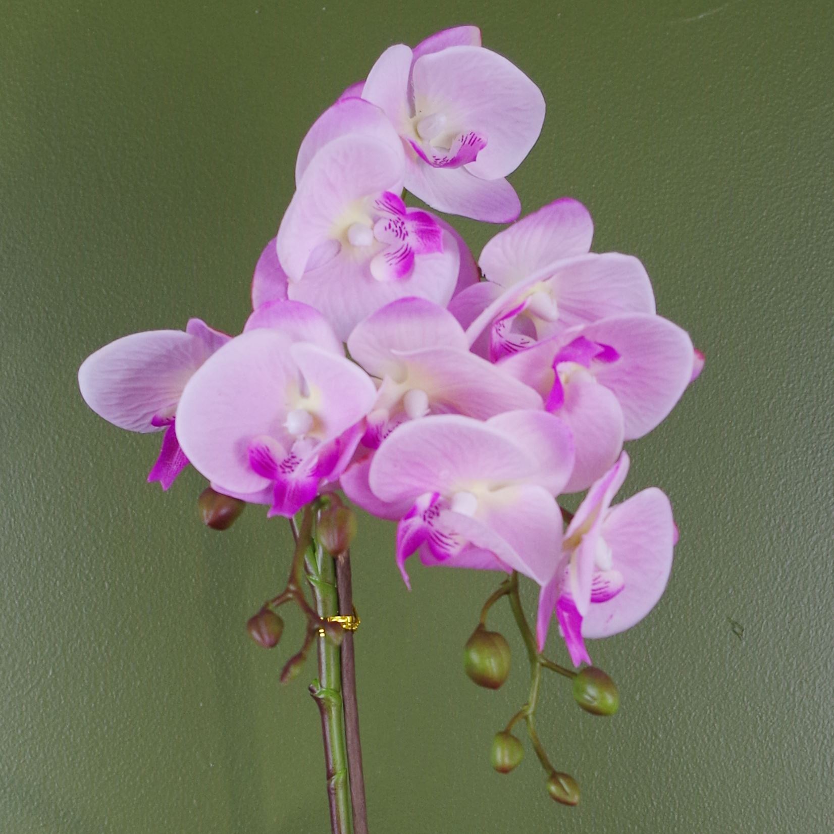 Artificial 50cm Phalaenopsis Orchid - Light Pink Silver