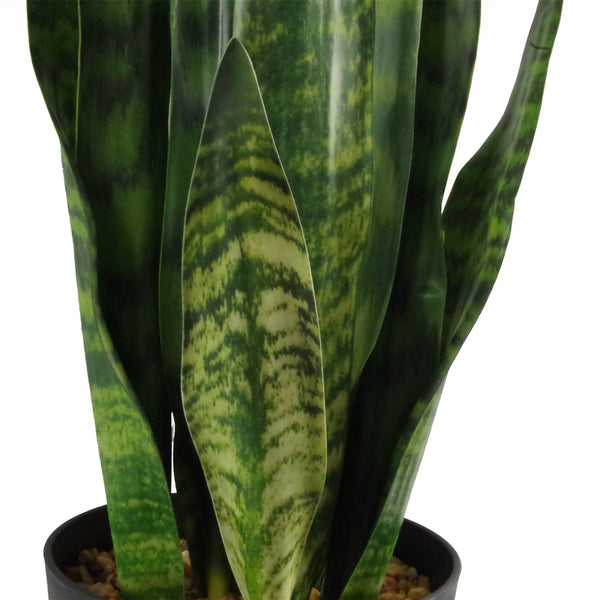 Artificial Plant Tropical Snake Plant Zeylanica Sansevieria 70cm Sansevieria Botanik