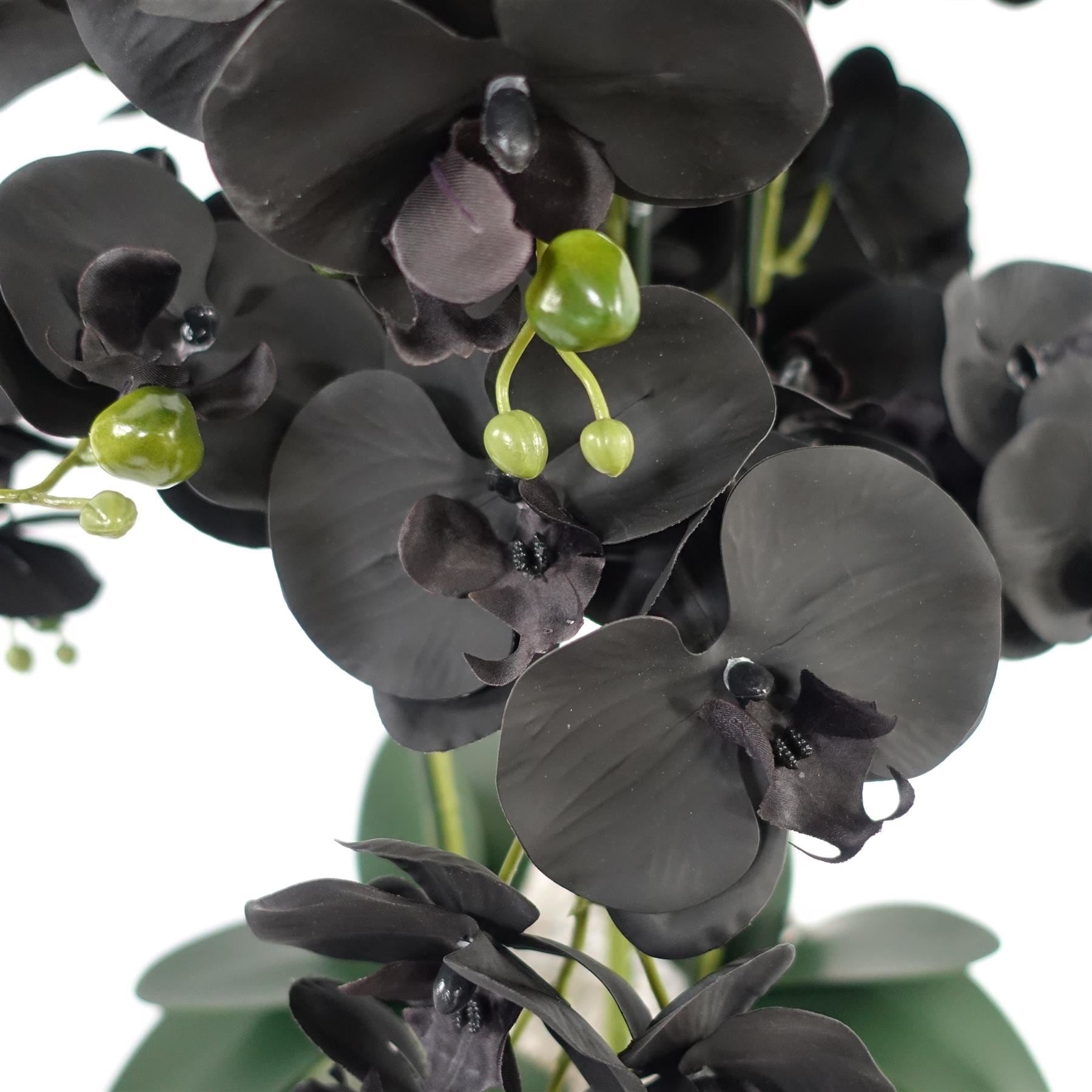 60cm Orchid Artificial Black - White Ceramic Planter - Premium Quality