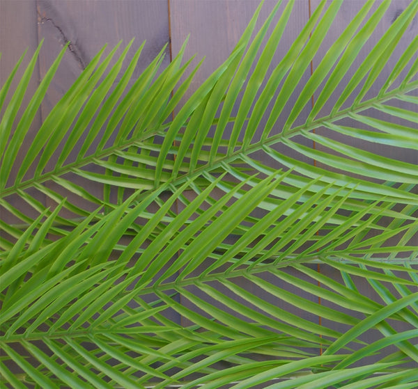 120cm Artificial Hanging Palm Leaf Plant