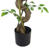 Artificial Japanese Fruticosa Tree Twisted Ficus 120cm Leaf Design UK Botanik