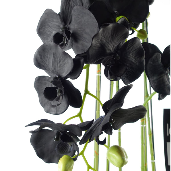 Large Black Orchid Plant Artifcial 41 REAL TOUCH flowers Botanik