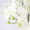 Large Orchid Artificial White 41 REAL TOUCH flowers Botanik