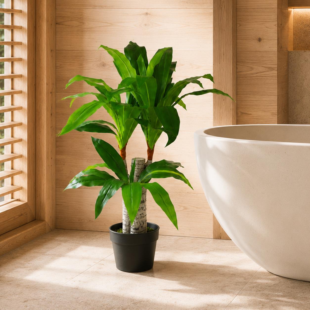 75cm Artificial Dracaena Plant - Wide Trunk Triple Branch Large