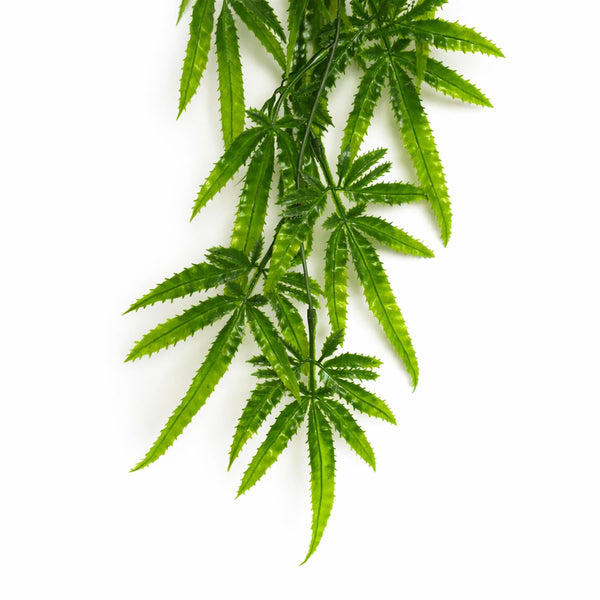 80cm Artificial Trailing Fern Botanik Plant Hanging Faux Greenery Vine - Premium Quality