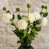 Dhalia PomPom Artificial Flowers Cream