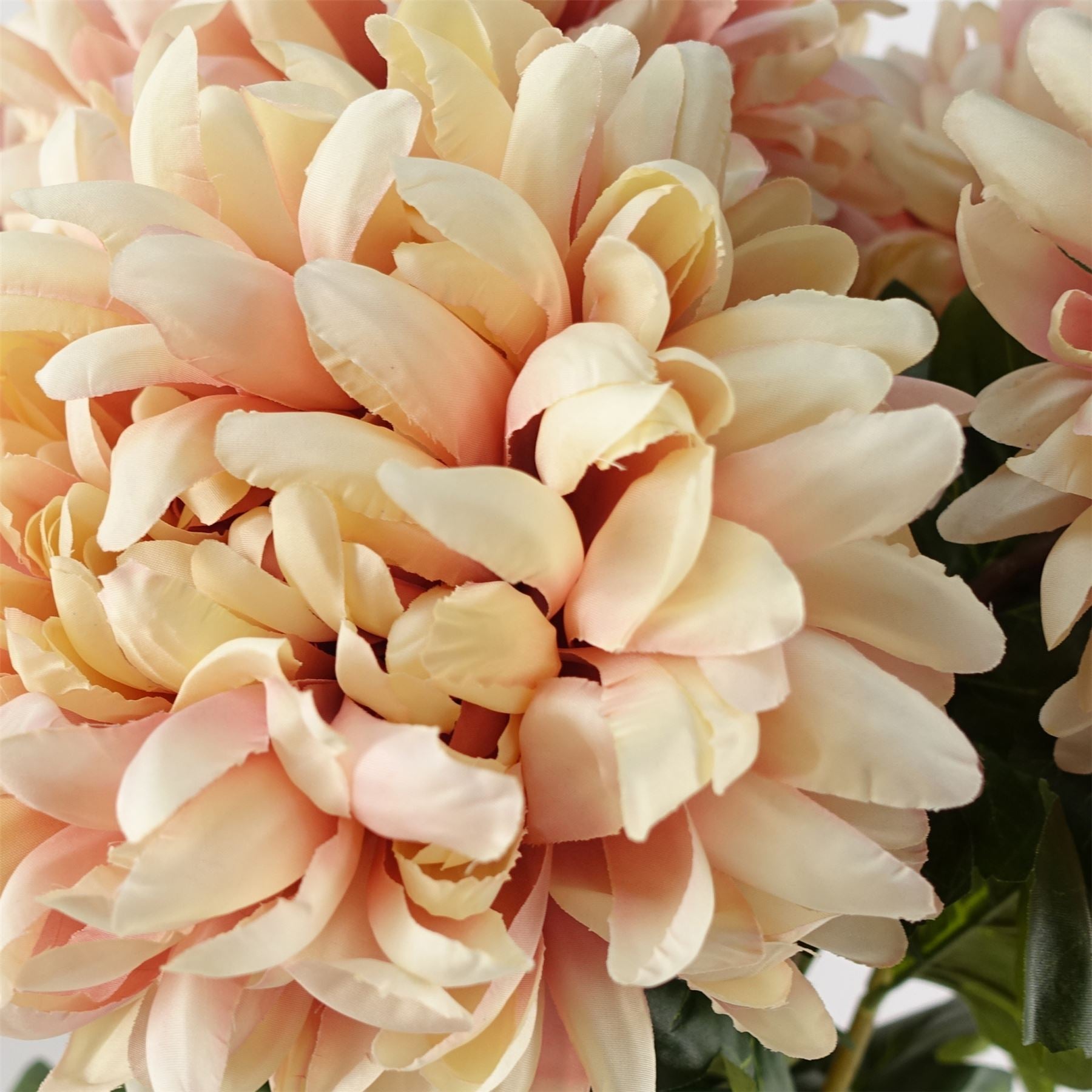 Pack of 6 x 75cm Extra Large Reflex Chrysanthemum - Pink - Premium Quality