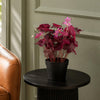 Artificial Plant Purple Shamrock Pink Flowers Potted Botanik