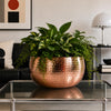 Leaf Large Metal Planter Edge Metal Planter 20cm