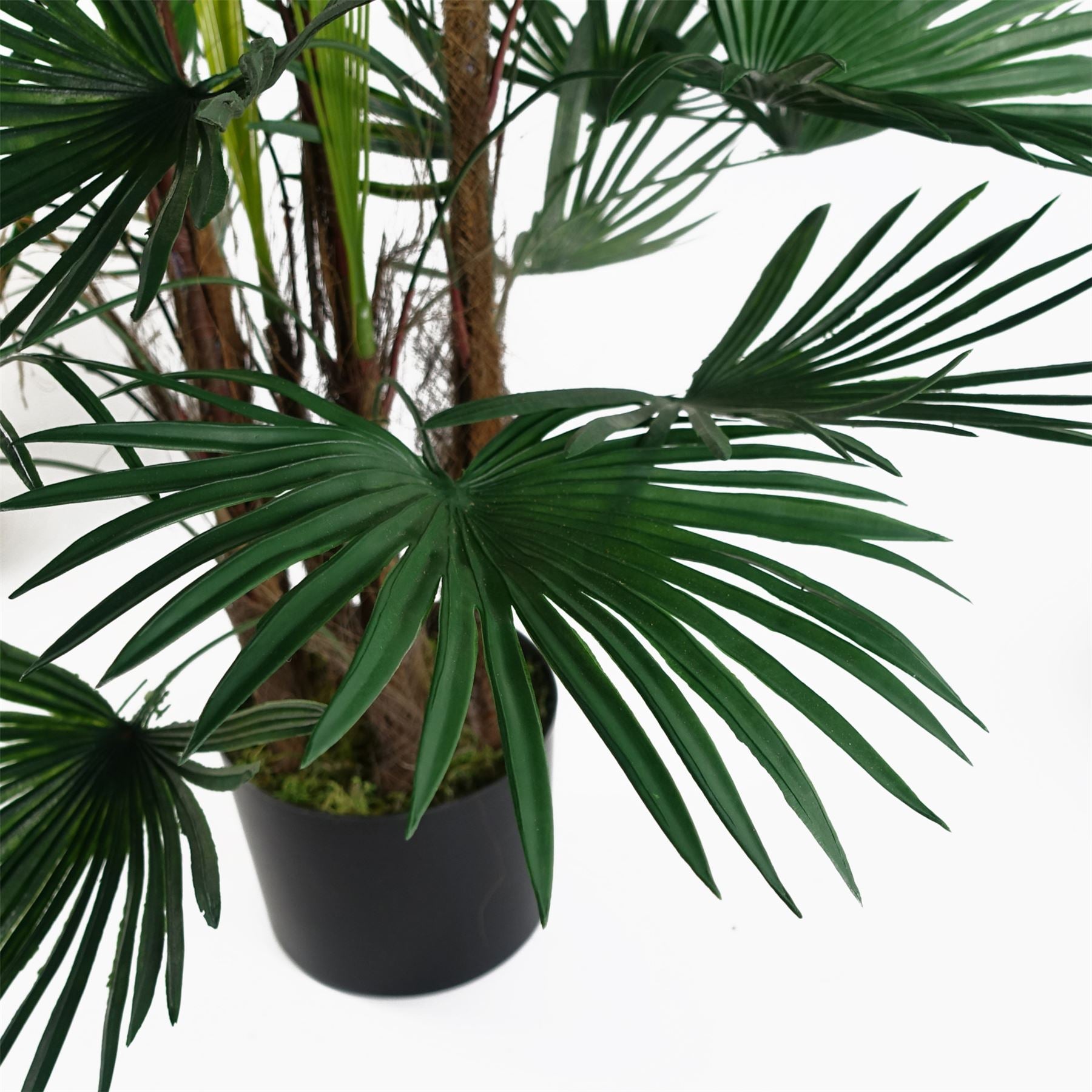 Fan Palm Artificial Tree  120cm Botanik