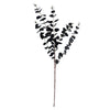 Pack of 6 x 80cm Black Eucalyptus Foliage Stem - Premium Quality