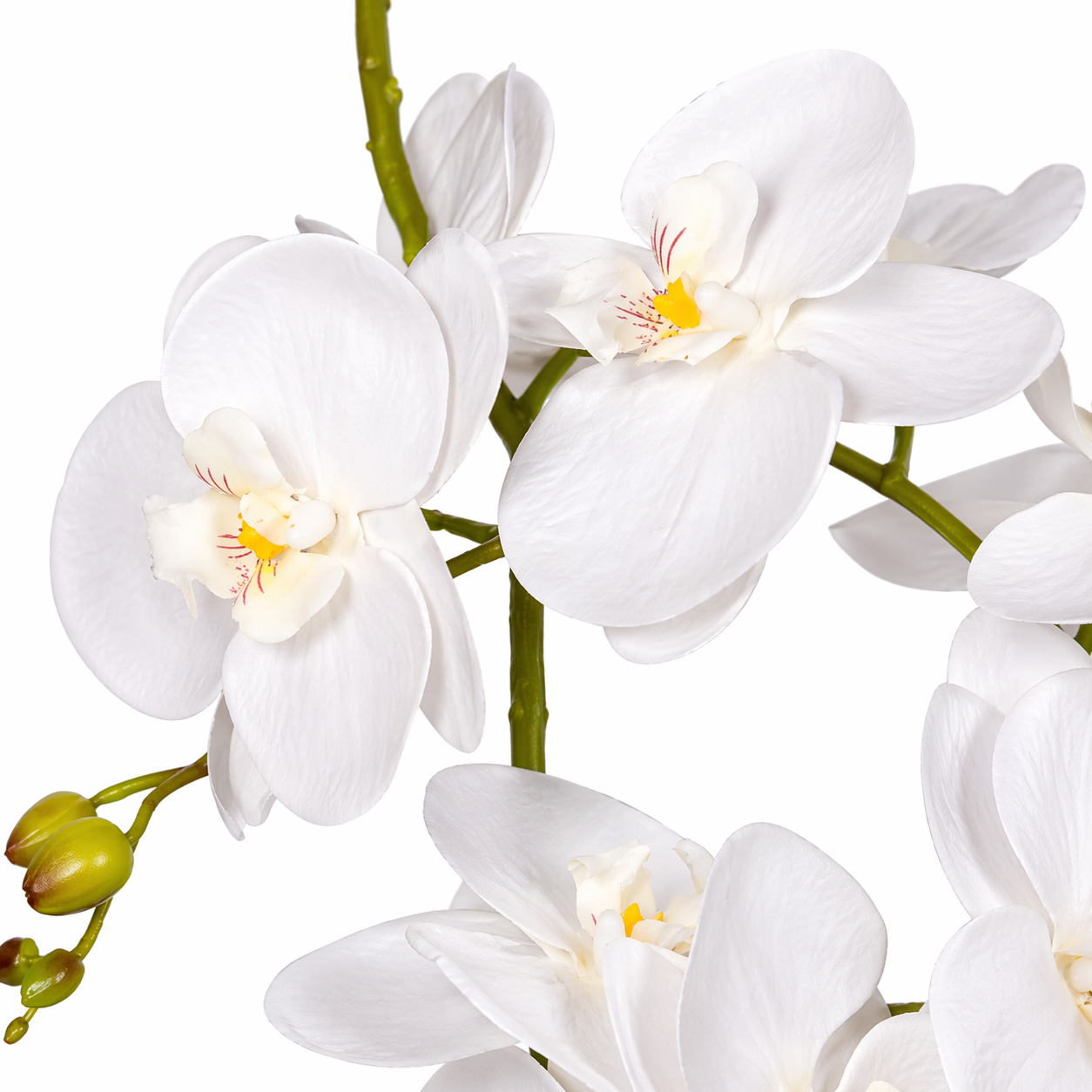 65cm Leaf Design UK Realistic Artificial Orchid Flower Display in Pot