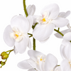 65cm Leaf Design UK Realistic Artificial Orchid Flower Display in Pot