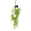 6 x 100cm Artificial Hanging Maidenhair Fern Plant Light Green - Premium Quality