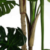 150cm (5ft) Luxury Monstera Plant Black Pot Gold Metal Planter - Premium Quality