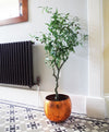 Artificial 120cm Olive Tree Natural Style