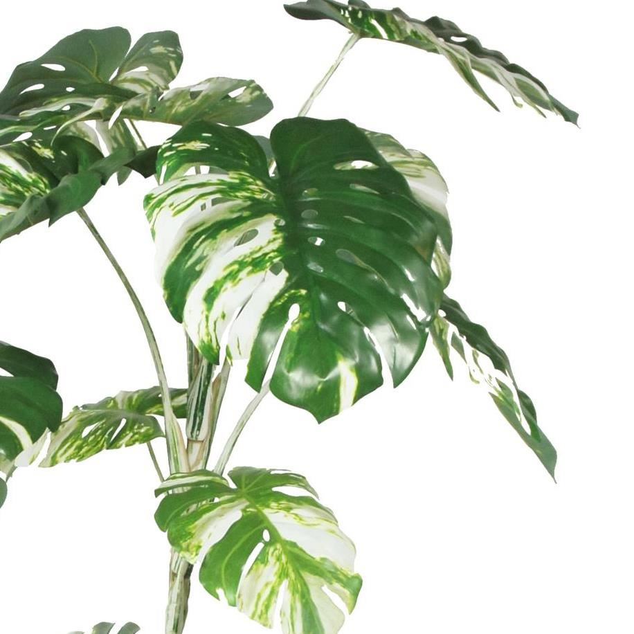 210cm Variegated Monstera Realistic Artificial Tree - Premium Quality