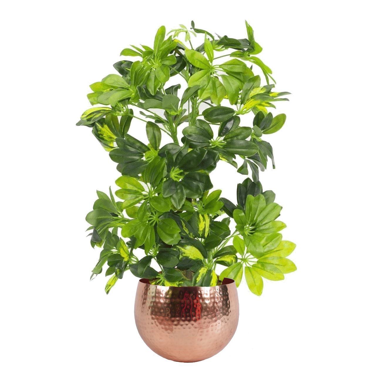 Artificial plant with premium metal planter Botanik Botanik