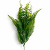 Pack of 6 x 50cm Artificial Fern Mixed Foliage Spray Stem