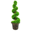 120cm Purple Large Leaf Spiral with Decorative Planter