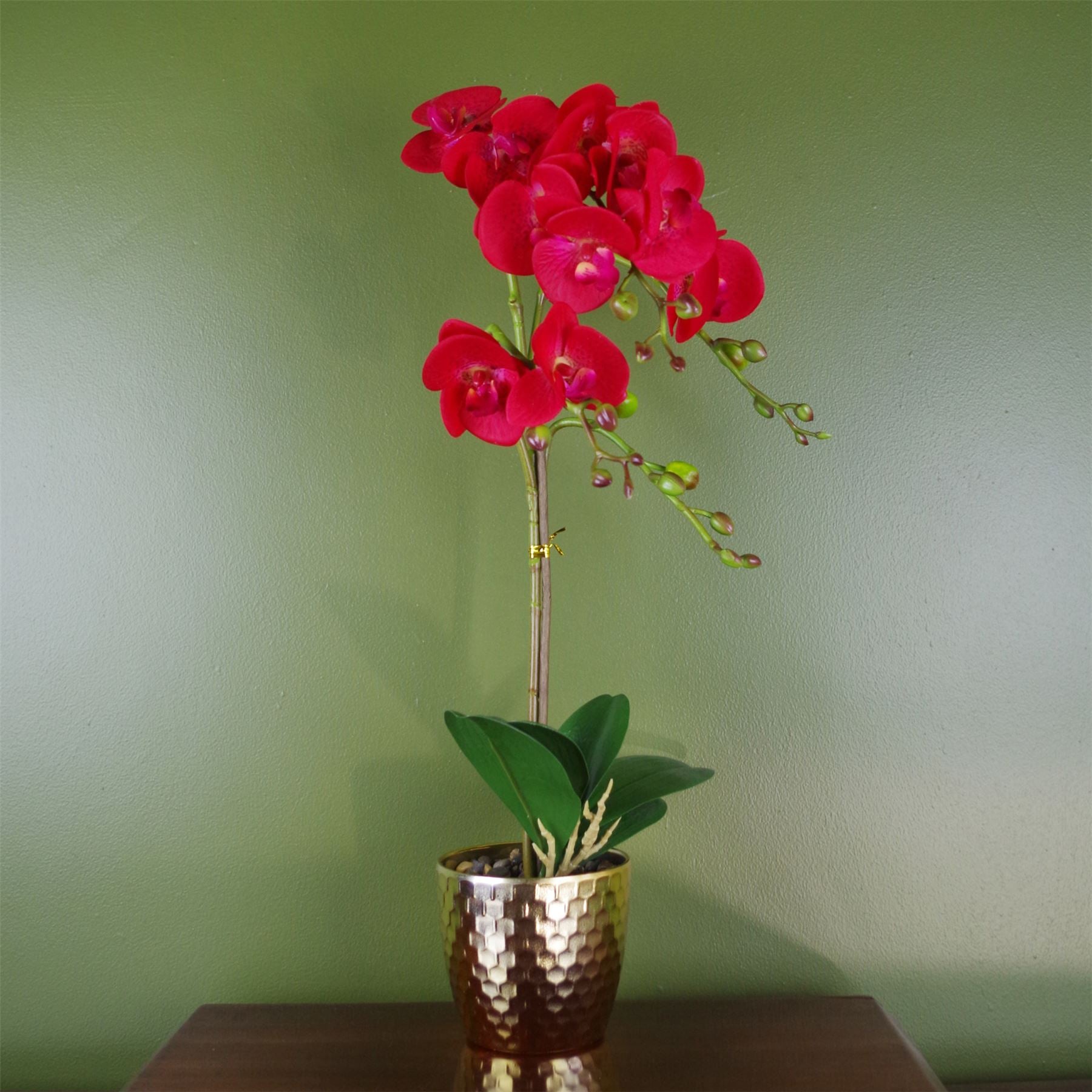 Artificial 50cm Phalaenopsis Orchid - Red Leopard - Gold Pot
