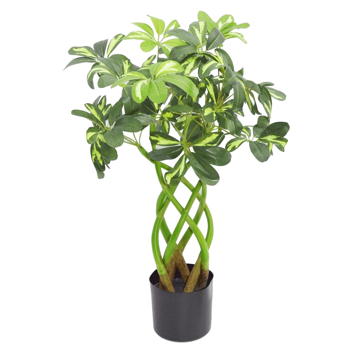 70cm Artificial Twisted Stem Modern Arboricola Artificial Plant Bonsai Bush Botanik