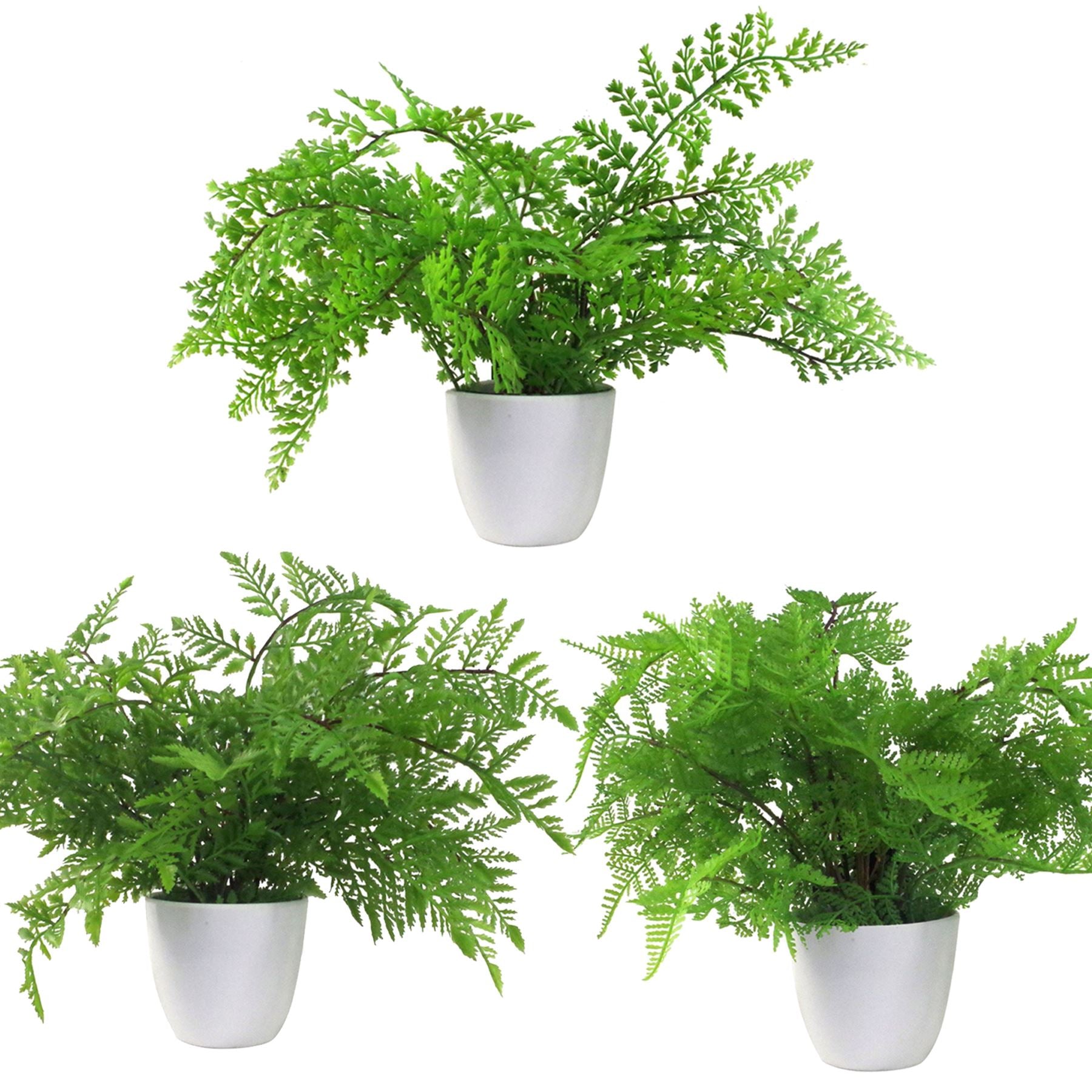 Artificial Ferns Plants Pack of 3 x 30cm Botanical Fern 30cm Potted Display Botanik