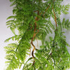 6 x 100cm Artificial Hanging Maidenhair Fern Plant Dark Green - Premium Quality
