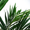 Leaf Design 150cm Kentia Palm Artificial Tree