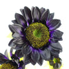 Pack of 6 x Artificial Flowers Purple Sunflower - 3 heads 88cm