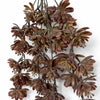 Pack of 6 x 70cm Artificial Trailing Sedum Succulent Plant Dusty Brown Hanging Faux Greenery
