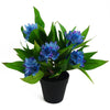 18cm Artificial Freesia Plant Blue Flowering - Premium Quality