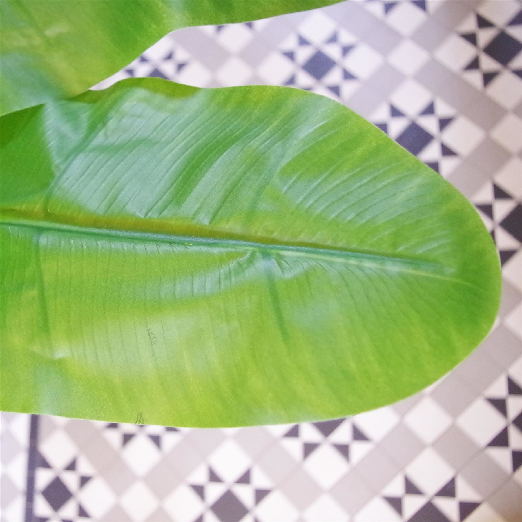180cm Artificial Banana Tree Tropical Plant Copper Metal Planter - Premium Quality