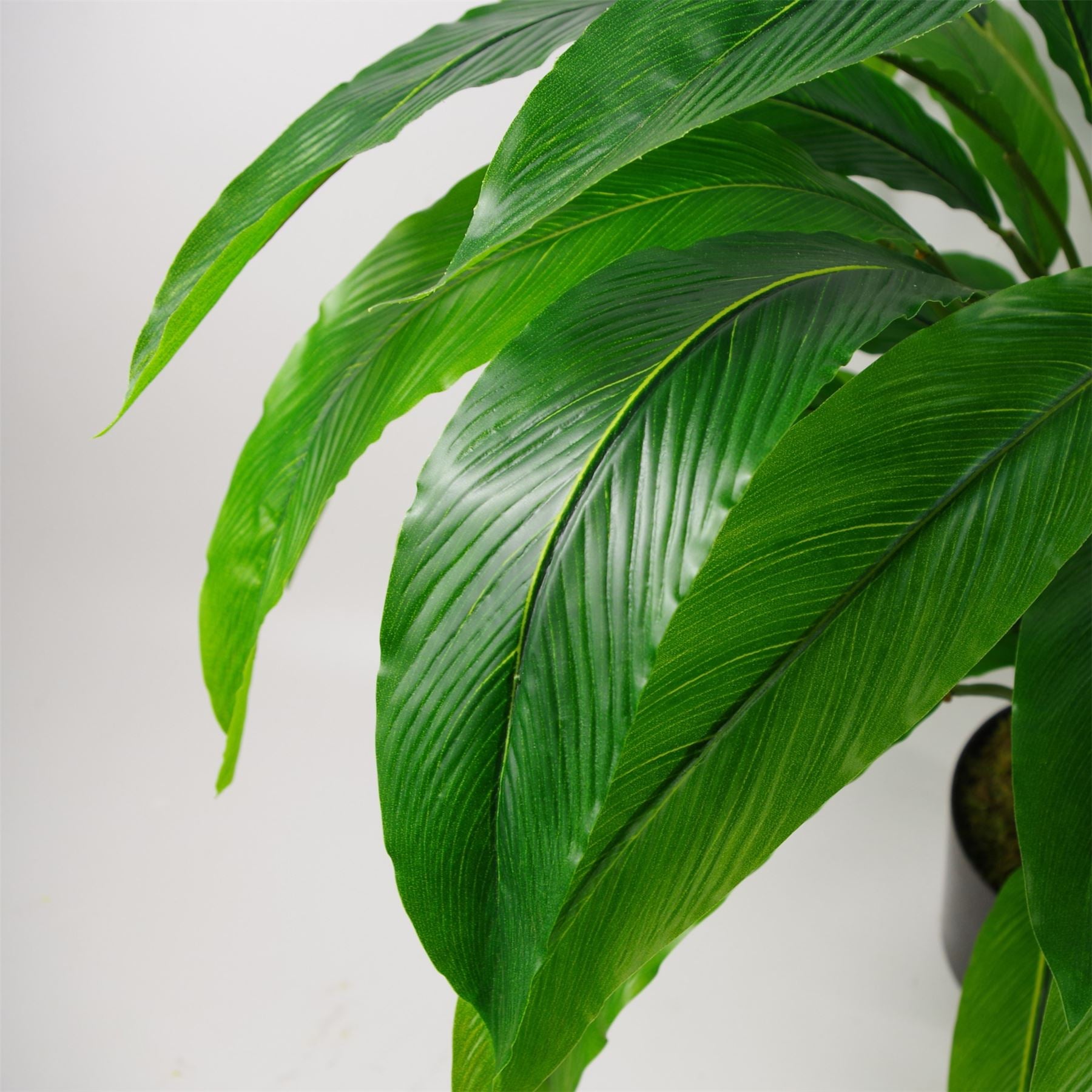 Artificial Plant Bush Calathea Big Plants 60cm 2ft