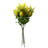 Pack of 6 x 55cm Callistemon Pallidus Yellow Bottle Brush Stem - Premium Quality