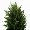 Outdoor Artificial Topiary Tree 120cm Sprial Cypress UV Resistant Botanik