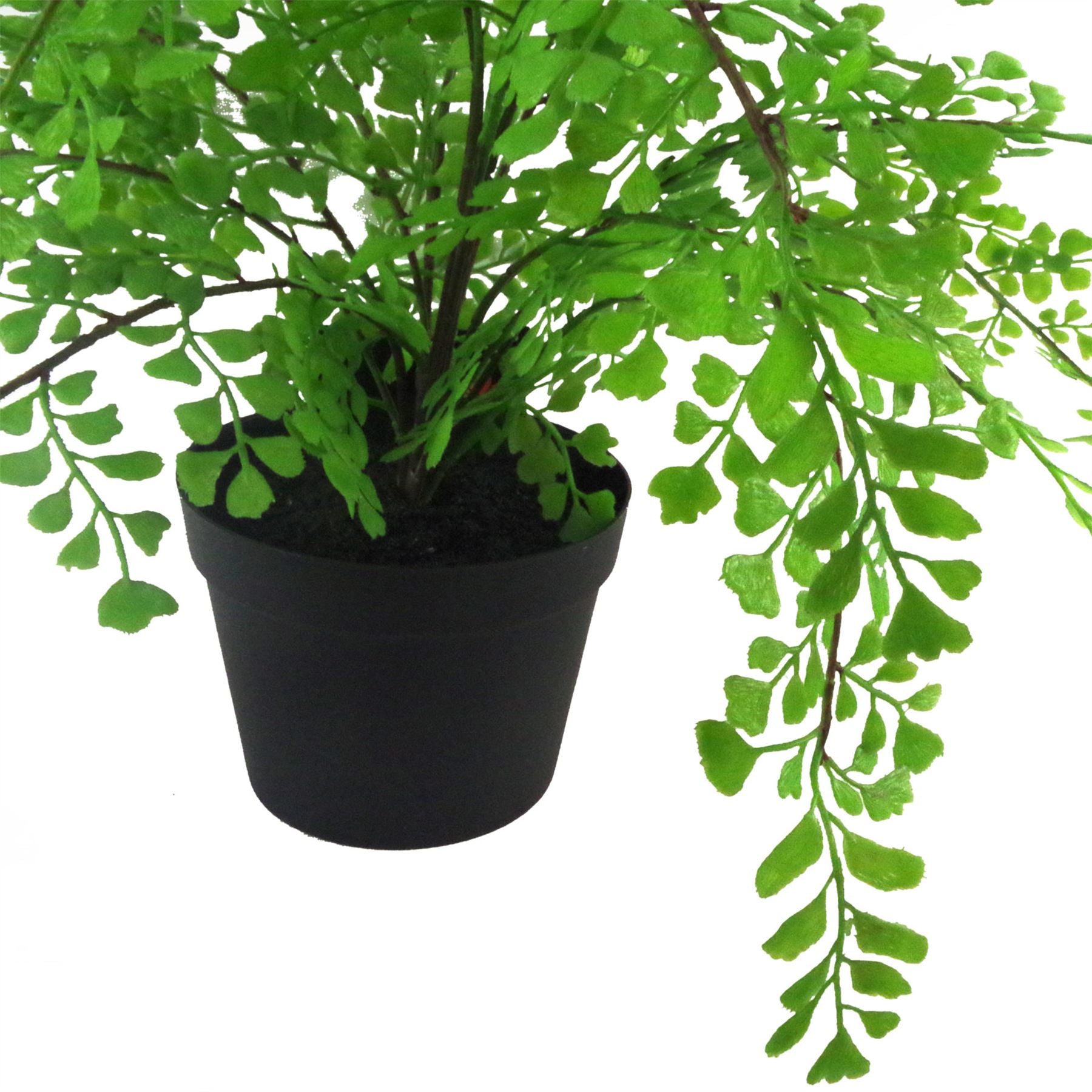 Artificial Potted Fern Plant (Southern Maidenhair Fern) 35cm