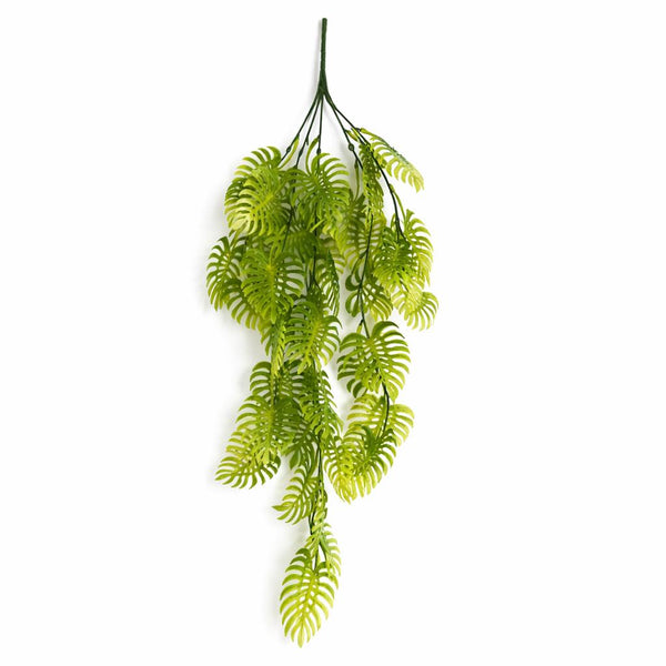 80cm Trailing Tropical Monstera Plant - Light Green