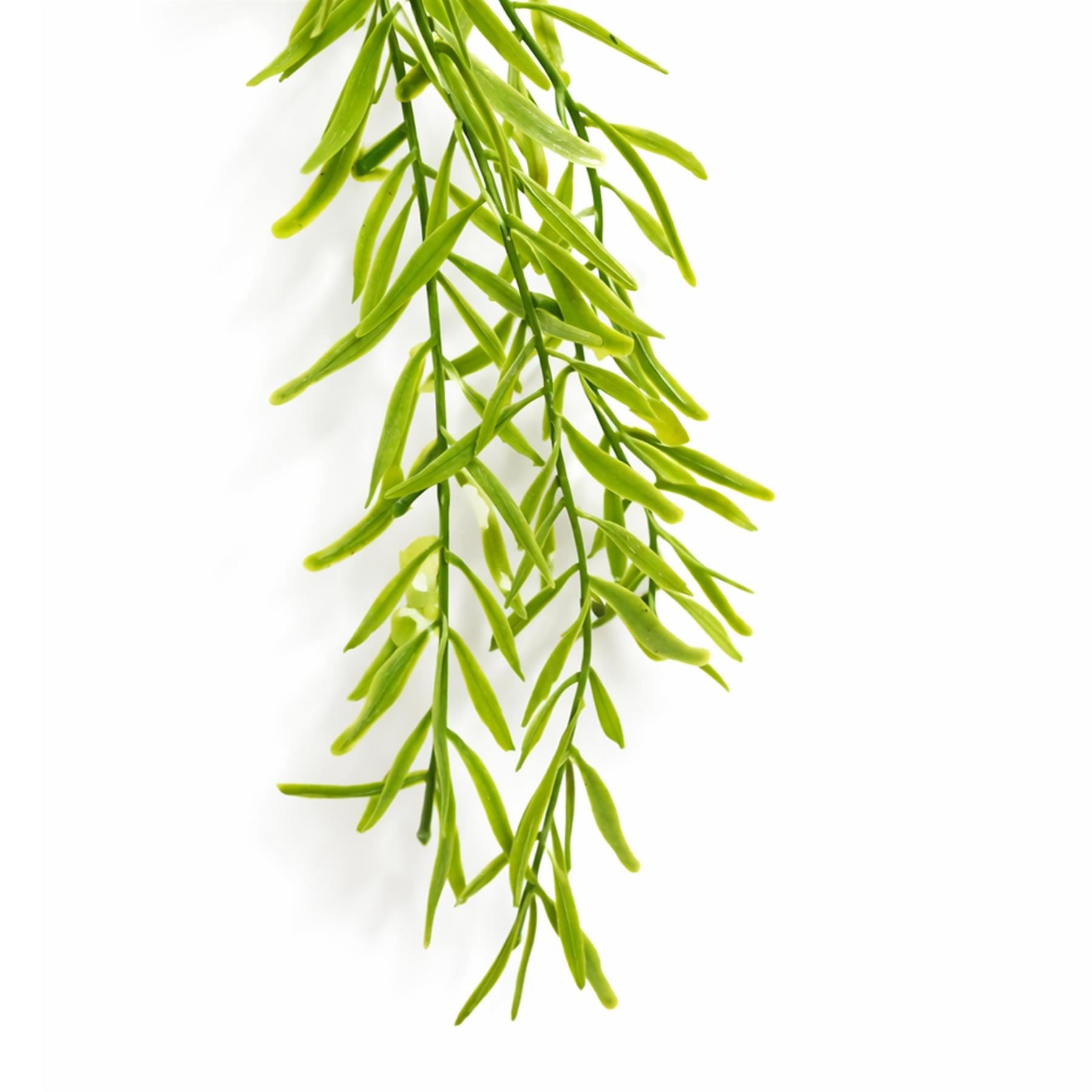 100cm Artificial Trailing Rhipsalis Style Hanging Plant - Light Green Tips - Premium Quality