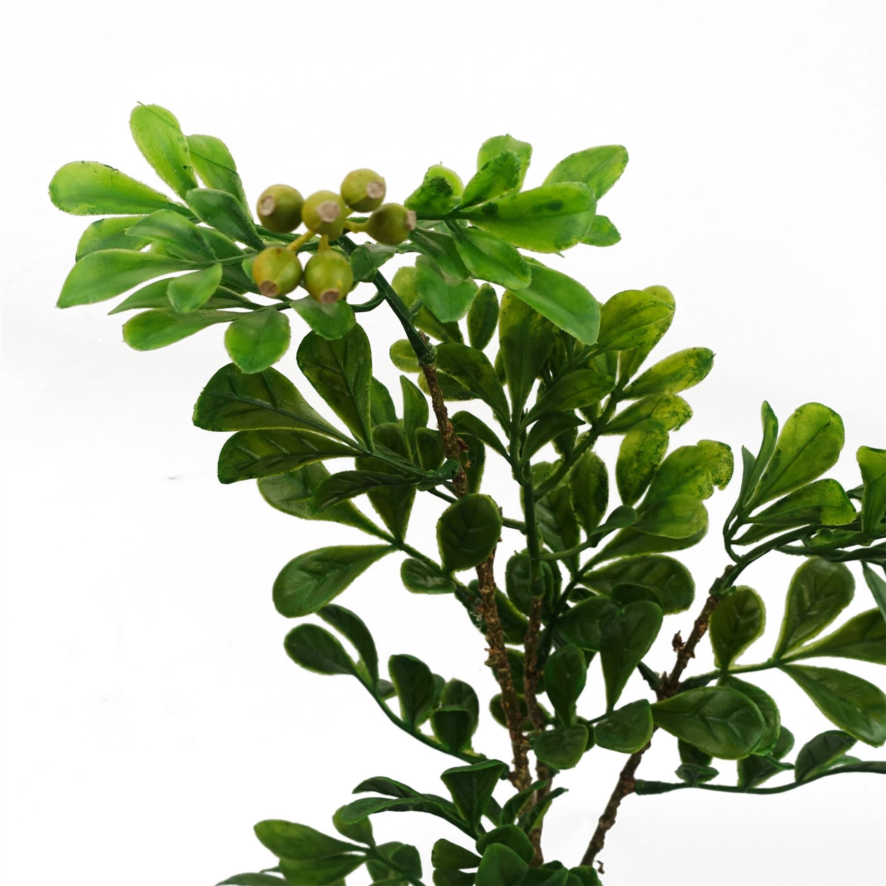 Leaf Design 45cm Artificial Aglaia Odorata Bonsai Ficus Tree