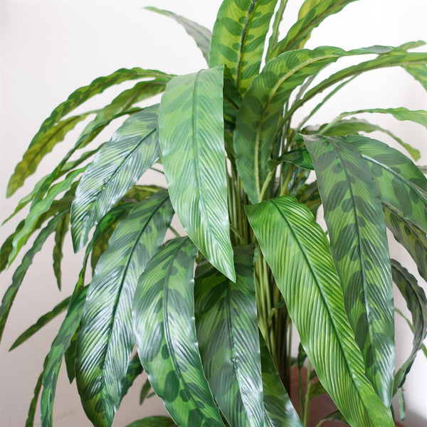 90cm Variegated Artificial Calathea Plant with pot