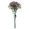 Pack of 6 x 55cm Gypsophila Pink Stem - Premium Quality