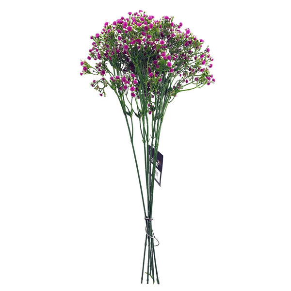 Pack of 6 x 55cm Gypsophila Pink Stem - Premium Quality