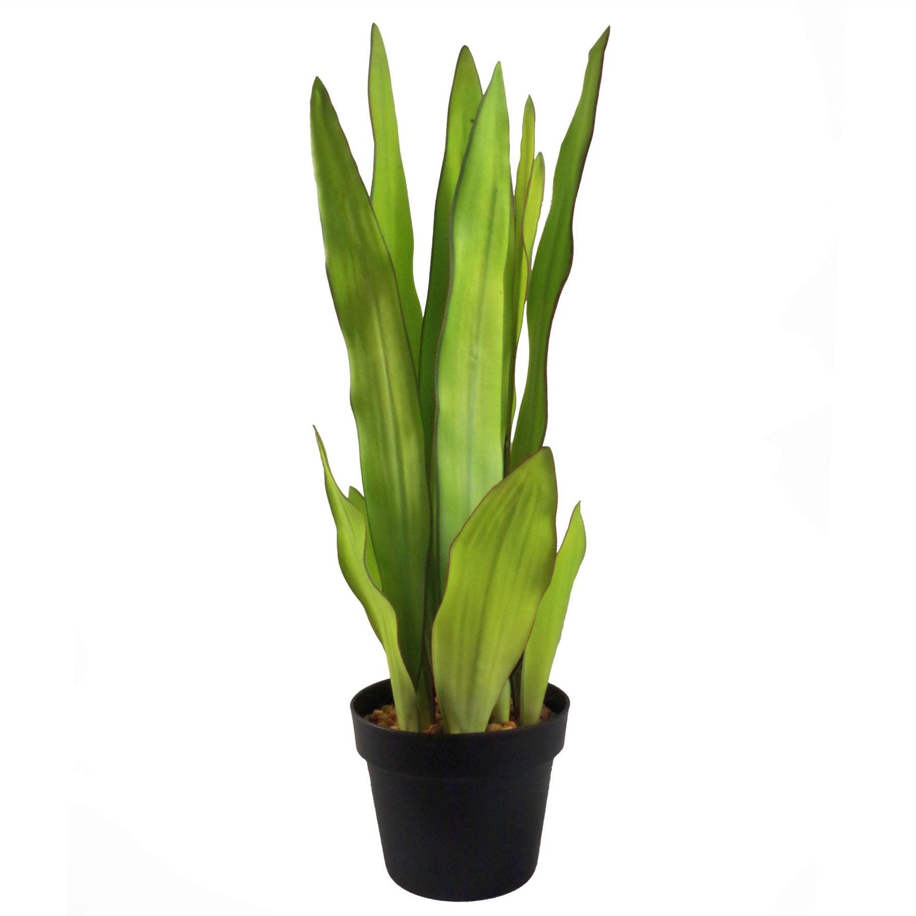 Tropical Artificial Plants 70cm Sansevieria Moonshine 70cm Plants